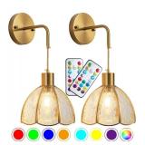 Battery Operated Wall Sconces Set Of Two, Indoor Not Hardwired Battery Wall Light, RGB Color Changing Dimmable Battery Powered Wall Lamp For Bedroom, Easy To Install, Bulb Included