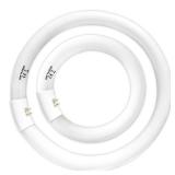 Celiwace FC8T9 22W and FC12T9 32W Set Daylight, 8 inch T9 22 Watts Circular Light Bulbs, 12 inch 32 Watts Circline Fluorescent Bulb CRI 80, 6500K 3350 Lumen G10q