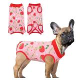 SAWMONG Recovery Suit for Dogs After Surgery, Dog Recovery Suit Dog Spay Surgical Suit for Female Dogs, Dog Onesie Body Suit for Surgery Male Substitute Dog E-Collar (Strawberry,L)