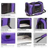 Pet Carrier for Small Cats Dogs up to 15 Lbs - Purple