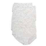 Hanes womens Cotton briefs underwear, 10 Pack - Brief White, 6 US