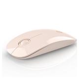 RAPIQUE Bluetooth Wireless Mouse - (BT5.1+USB) Slim Dual Mode Computer Mice with Quiet Click, Low Power, and 1600 DPI, Portable Cordless Mouse for MacBook, Laptop, iPad Pro/Air, Tablet (Pink)