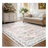 Area Rugs 8