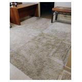 Area rug. 121 x 97. Located in the basement