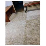 Area rug. 121 x 97. Located in the basement