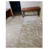 Area rug. 121 x 97. Located in the basement