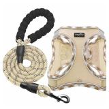 haapaw Dog Harness with Leash Set, No Pull Adjustable Reflective Step-in Puppy Harness with Thickened Padded Vest for Extra-Small/Small Medium Dogs