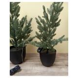 3pc Pre-lit Potted Balsam Fir Mini Artificial Christmas Tree Set Warm White Lights - Wondershop: LED, Timer, Indoor/Sheltered Outdoor