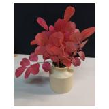 Small Red Leaf Potted Arrangement - Threshold