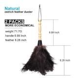 Midoneat Natural Black Ostrich Feather Duster,2 Packs,Car Duster Interior/Exterior Cleaner,Duster for Blinds Kitchen Keyboard Office, Smart and Soft and Fluffy Duster (Black)