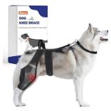 Dog Knee Brace Adjustable for Torn ACL and Hip Dysplasia   Supports Large and Small Dogs with CCL, Ligament Injuries, Osteoarthritis Relief, Enhances Mobility and Recovery (Middle)