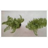 8" x 11" Artificial Fern Arrangement in Pot - Threshold (QTY. 2)