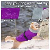 Lelepet Warm Dog Coat Reflective Dog Fleece Vest Waterproof Dog Jacket Windproof Dog Winter Coat Dog Cold Weather Coats with Adjustable Buckle Fleece Lining Dog Snowsuit Dog Coat for Small Dogs, S