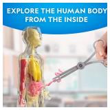 National Geographic Human Body Model for Kids That Glows in The Dark - 32-Piece Interactive Anatomy Model with Bones, Organs, Muscles, Science Kit Stocking Stuffer, Anatomy & Physiology Study Tools