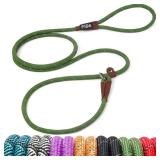 Fida Durable Slip Lead Dog Leash, 6 FT x 3/8" Heavy Duty Dog Loop Leash, Comfortable Strong Rope Slip Leash for Small Dogs and Puppies, No Pull Pet Training Leash with Highly Reflective(3/8", Green)