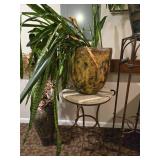 Vintage Plant Display with Live Snake Plant Decorative Vases and Stands