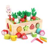 Toddlers Montessori Wooden Educational Toys for Baby Boys Girls Age 1 2 3 Year Old, Shape Sorting Toys 1st One First Birthday Girl Gifts for Kids 1-3, Wood Preschool Learning Fine Motor Skills Game