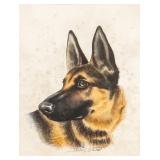 Litho on Paper German Shepherd by Sharon Blaine