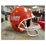 Plastic Illinois helmet