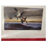 96-97 Iowa ducks unlimited print limited edition