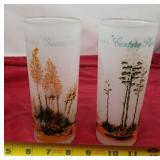 Blakely Oil and Gas Arizona Cactus Glasses