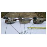 Duck Decoys