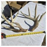 Deer sheds