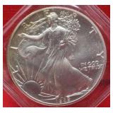 1989 Silver Eagle 1 troy oz fine Silver