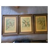 Basil Ede Framed Bird Prints