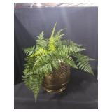 Fern Planter