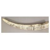 Replica scrimshaw tusk - 21" long