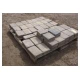 Pallet #12 - (49) Pavers 8" x 5 1/2" x 2" deep