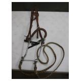 Leather Bridle w/Nylon Braided Reins