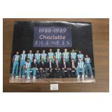 1988-89 Charlotte Hornets Poster