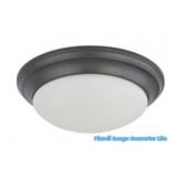 2 Light - 14 Flush with Frosted White Glass