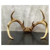 VTG 8 POINT DEER RACK 14"