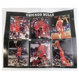 Vintage Chicago Bulls Poster