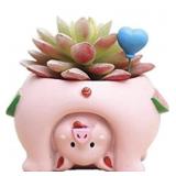 YOUFUI CUTE ANIMAL FLOWERPOT ANIMAL RESIN