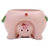 YOUFUI CUTE PIG MINI FLOWERPOT 10.5X9.5X7CM