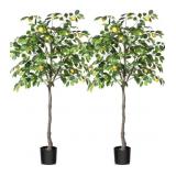 KAZEILA FAKE LEMON TREE, 5 FEET - 2PACK - SOME