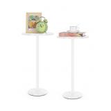 WHITE ROUND SIDE TABLE  SET OF 2 WITH MARBLE BASE