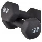 AMAZON BASIC 12 LB DUMBBELLS, USED