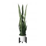 LYBOLD ARTIFICIAL FAKE SNAKE PLANTS -3FT 39IN