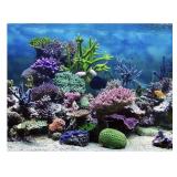 CORAL AQUARIUM FISH TANK BACKGROUND POSTER - 24 X