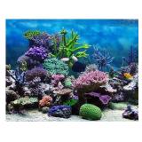 FISH TANK LANDSCAPING AND DECORATION 48 X 24