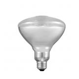 GLOBE ENERSAVER 120W HALOGEN BULB