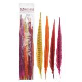 ZFP FEATHERS ASSORTED DYED PHEASANT TAIL