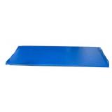 Standard Plus Radiolucent X-ray Table Pad - Blue