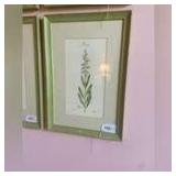 Framed Limited edition botanical print signed by artist 15" x 22"