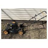 Briggs & Stratton Poulpan Pro Push Mower